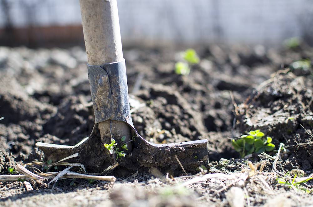 Agricultural development programmes