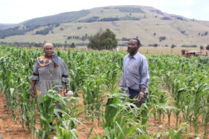 Broad-based economic empowerment