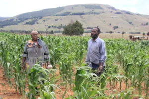 Broad-based economic empowerment