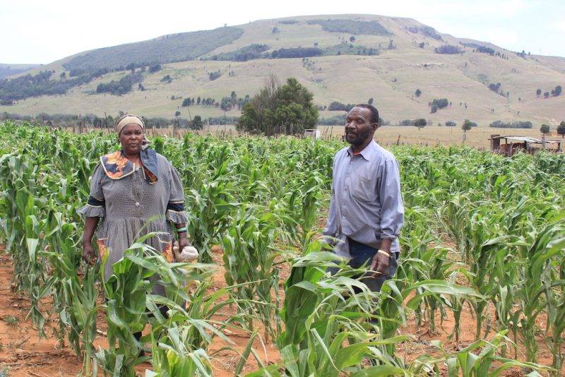 Broad-based economic empowerment
