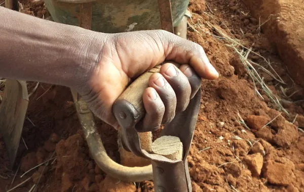 Food security