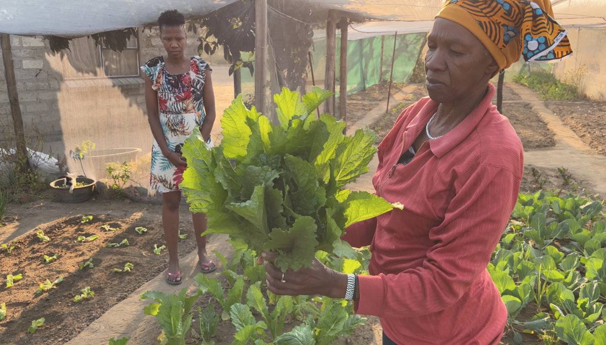 Social Economic Development programmes