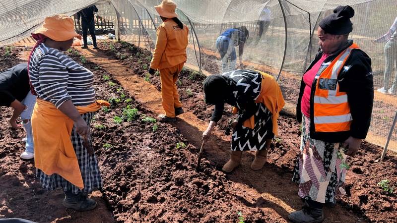 CSR and ESG Offerings Food Security