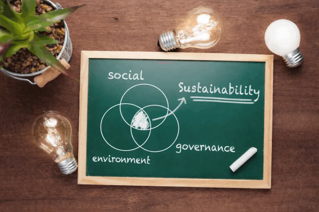 Social Sustainability Solutions: Building Stronger Communities and Responsible Businesses in South Africa – An Umsizi perspective