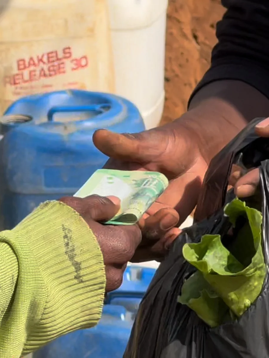 Buying vegetables directly from a local grower, the short supply chain that keeps the margin in the community
