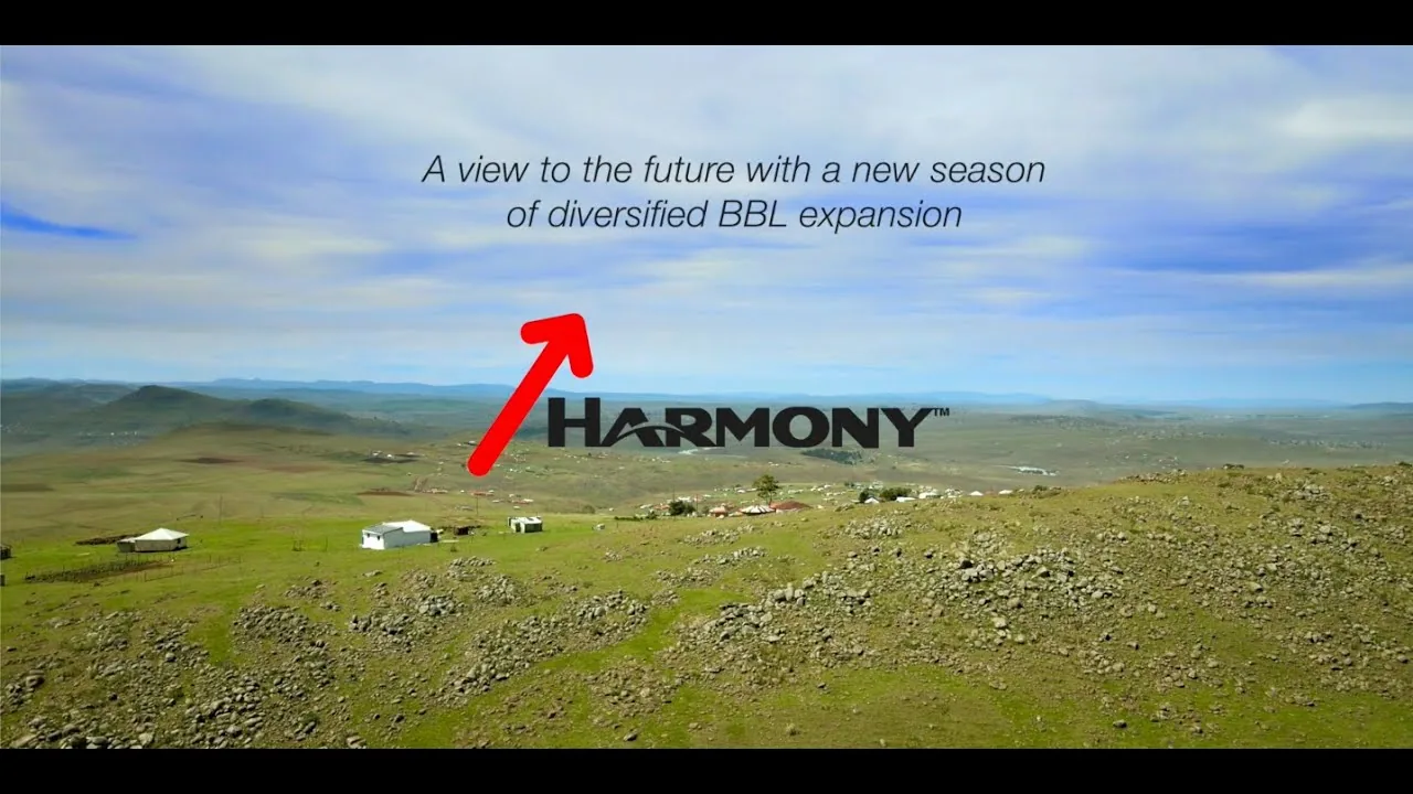 Generating Livelihoods and Income Streams in Rural Tsolo: Harmony’s BBL Programme